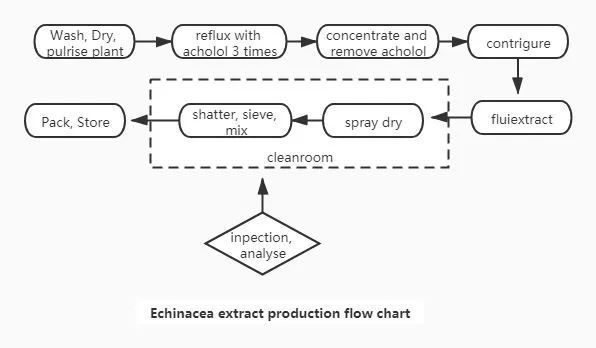 Flow Chart for Echinacea purpurea extract powder