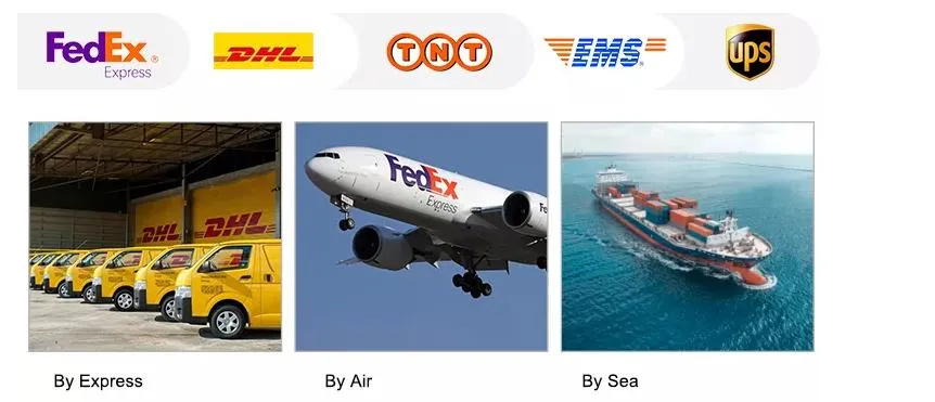 shipment