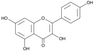 Chemical Composition Kaempferol