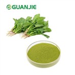 Púdar Sliocht Spionáiste