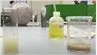 spermidine powder