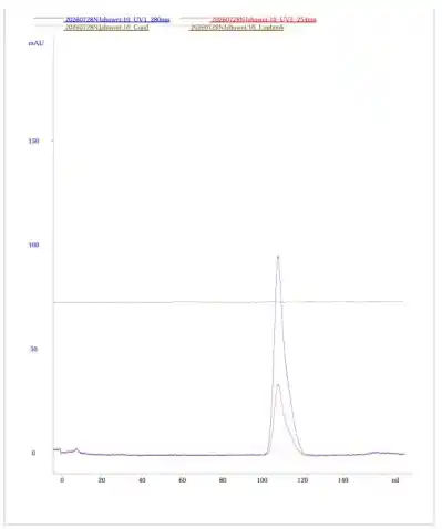 Purity Analysis Of Recombinant Bovine Pepsin Purity Analysis Of Recombinant Bovine Pepsin